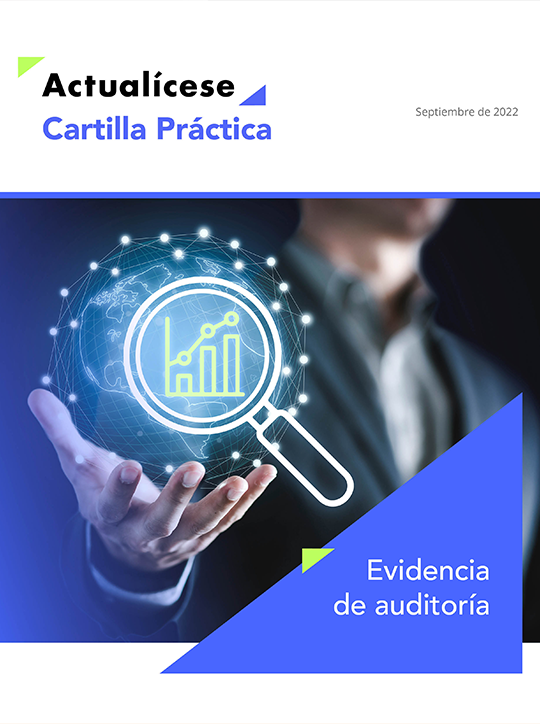 Evidencia de auditoría normas características y procedimientos