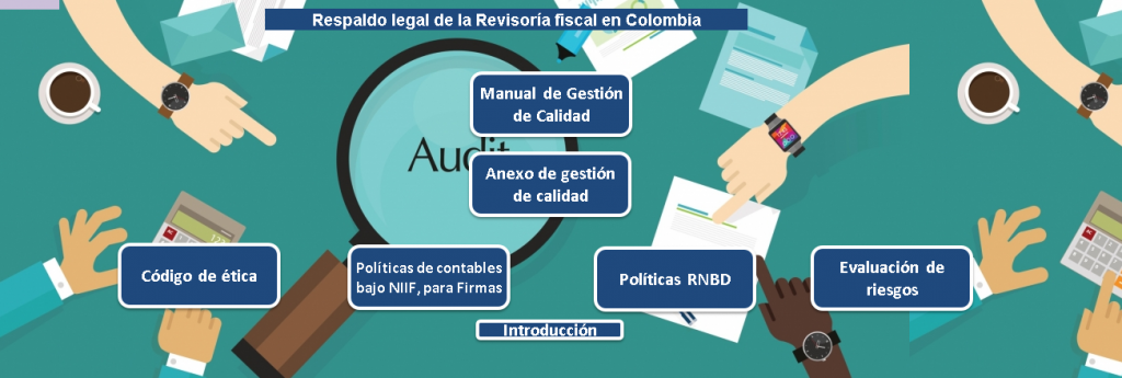 Herramienta Integral Para El Ejercicio De La Revisoría Fiscal Versión 5