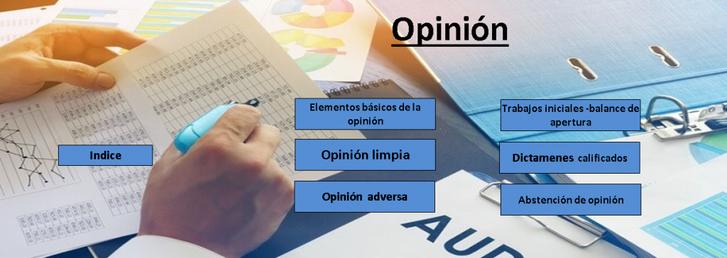 Herramienta Para El Ejercicio De La Revisoría Fiscal Walter Ante