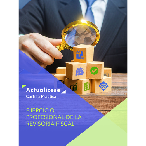 Informe Del Revisor Fiscal Actualícese