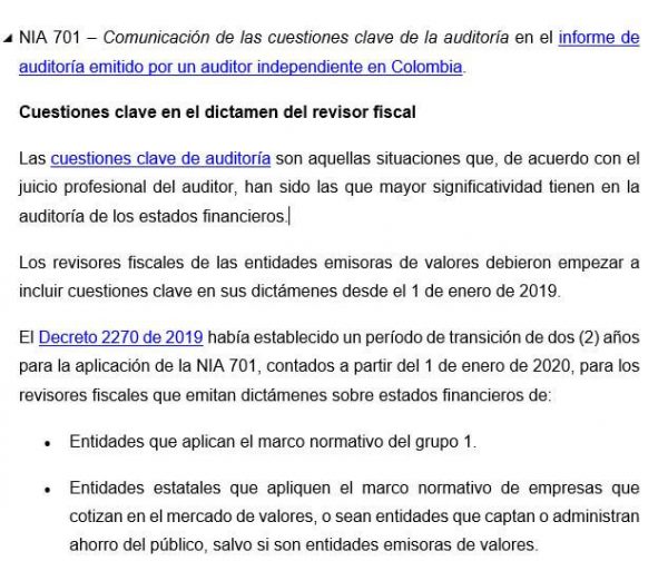 revisor fiscal