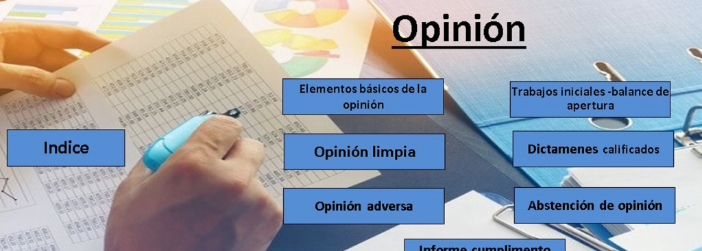 Herramienta Integral Para El Ejercicio De La Revisoría Fiscal Versión 7