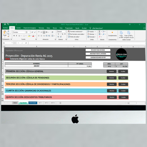 Liquidador de Proyección de Impuesto de renta renta PN AG 2025 – DR210