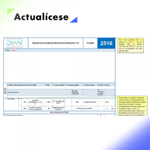 [Liquidador] Excel del formulario 110 y el formato 2516 para la declaración de renta de personas naturales no residentes que llevan contabilidad AG 2024